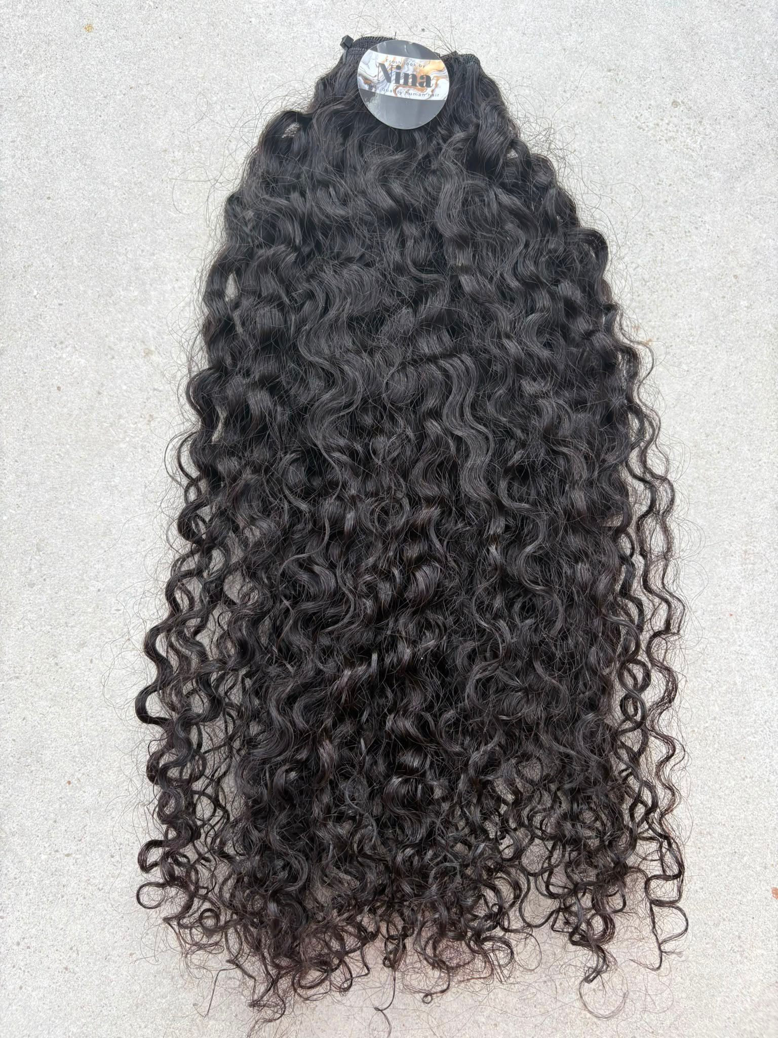 Burmese curly